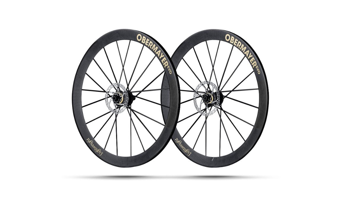 MEILENSTEIN new EVO DISC WHEELSET vintage